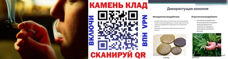ГАШ Изолятор  Купить где  Котово 