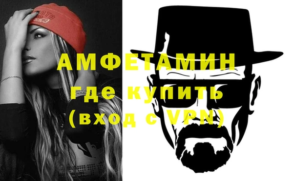 прущие грибы Михайловск