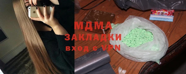 прущие грибы Михайловск