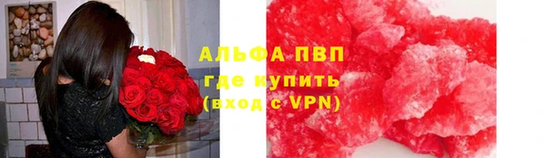 гидра Михайловка