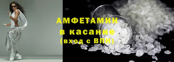 прущие грибы Михайловск