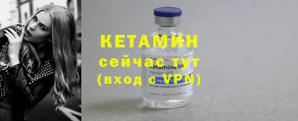 гидра Михайловка