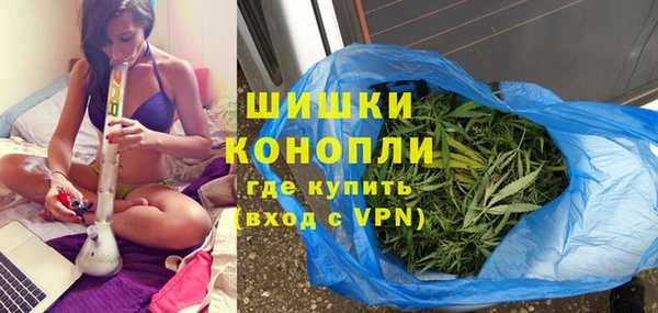 прущие грибы Михайловск