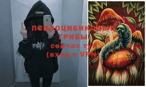 гидра Михайловка