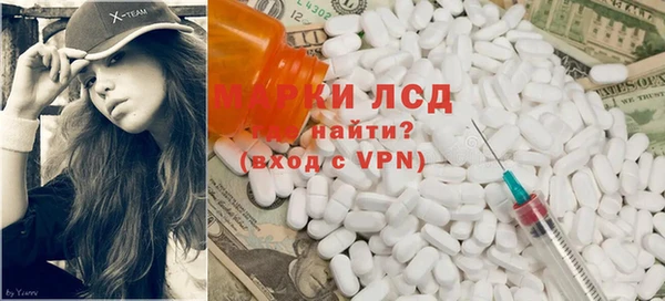 прущие грибы Михайловск