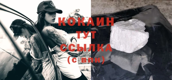 прущие грибы Михайловск