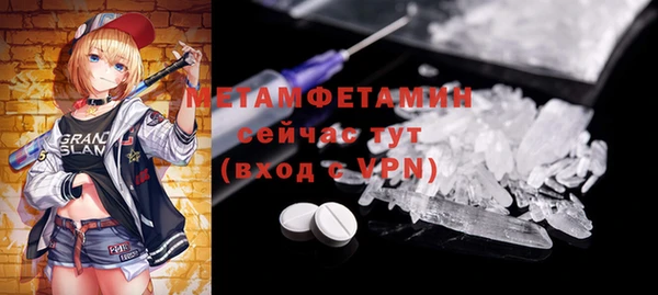 прущие грибы Михайловск