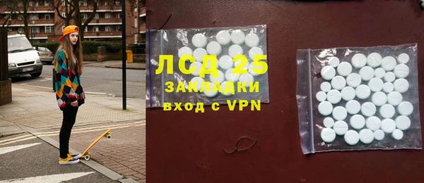 гидра Михайловка