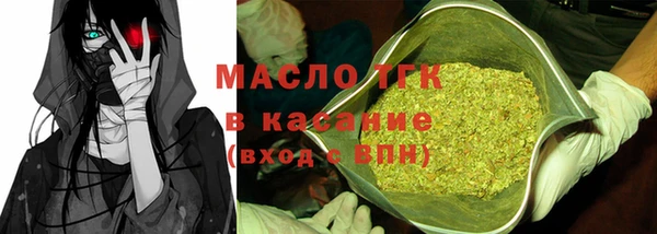 гидра Михайловка