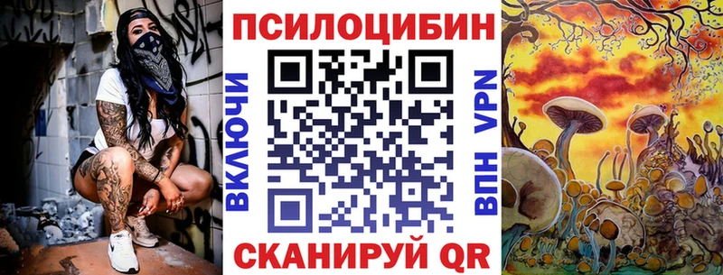 Купить где  Котово  Псилоцибиновые грибы прущие грибы 